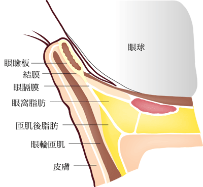 秋冬眼袋加深怎么办？评美帮教你秋冬眼袋保养4大重点