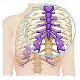 相较于耳软骨、鼻中隔软骨隆鼻，肋软骨隆鼻的优势有哪些？