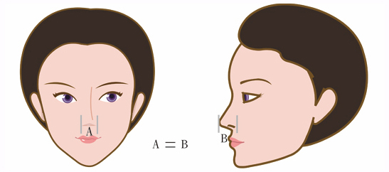 怎么判断鼻型是否合乎黄金比例标准评估？