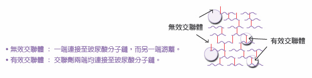 为什么选择"爱力根"乔雅登？"爱力根"乔雅登禁忌和注意事项有哪些？