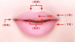 黄金比例的唇形怎么打造？丰唇手术简介