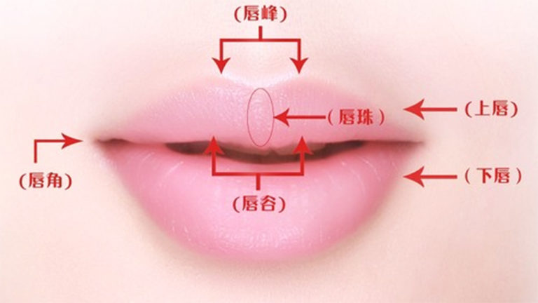 为什么要进修缩唇手术？少了一点嘴型更美 缩唇手术简介