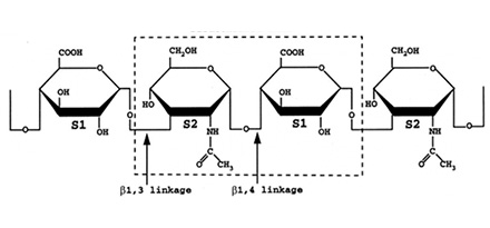 玻尿酸结构是怎么样的？一级二级三级结构玻尿酸