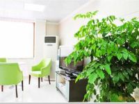 上海东方丽人医疗美容门诊部