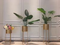 中山禾佳医疗美容